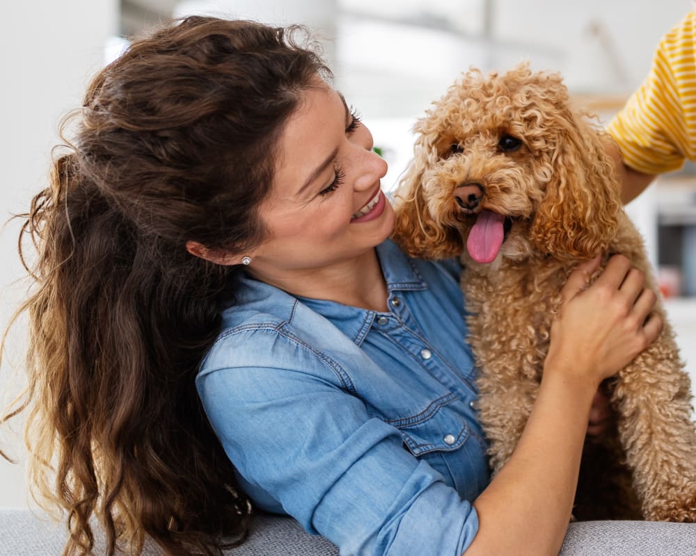 Cat & Dog Dentistry, Burlington Veterinarians