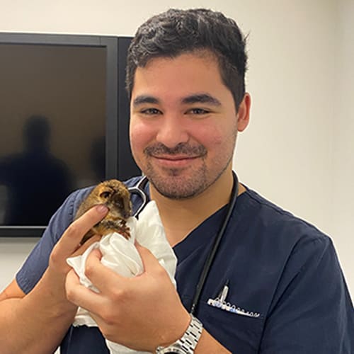 Dr. Joaquin Torres, Burlington Veterinarian