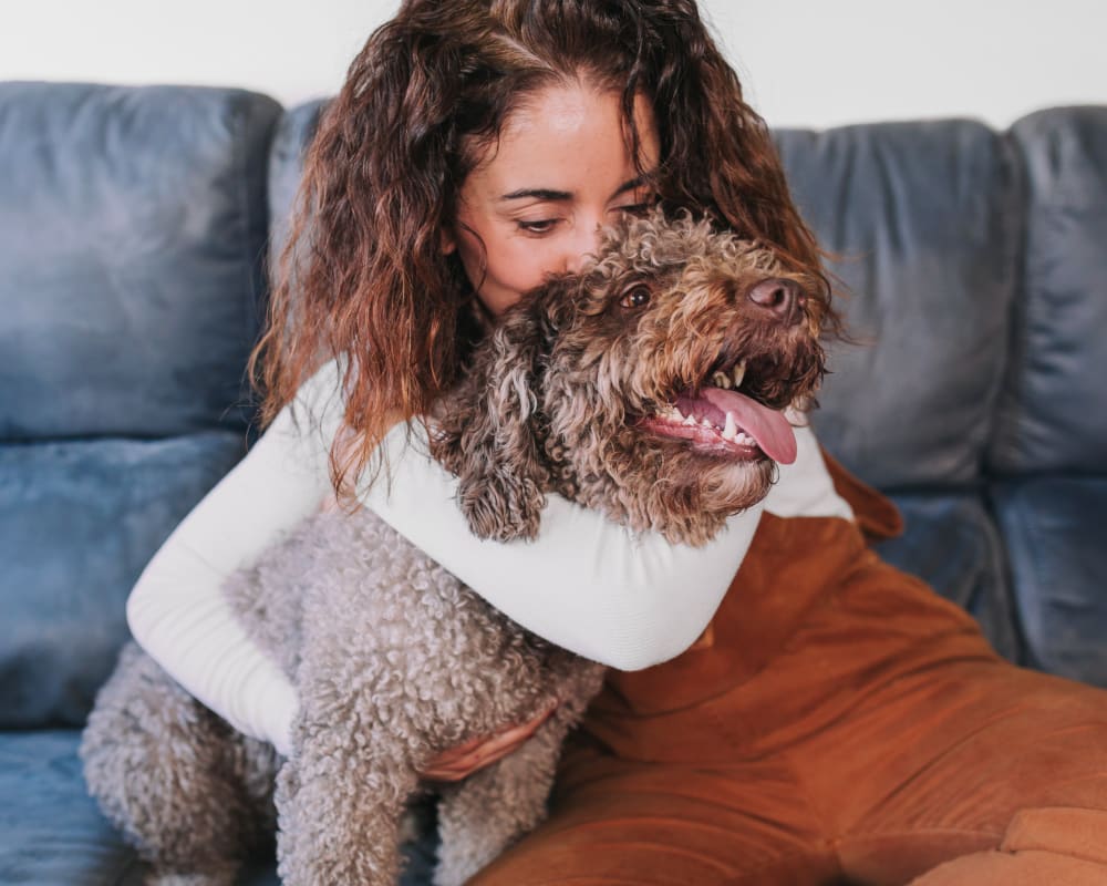 Medical Monitoring & Continued Care For Burlington Dogs & Cats